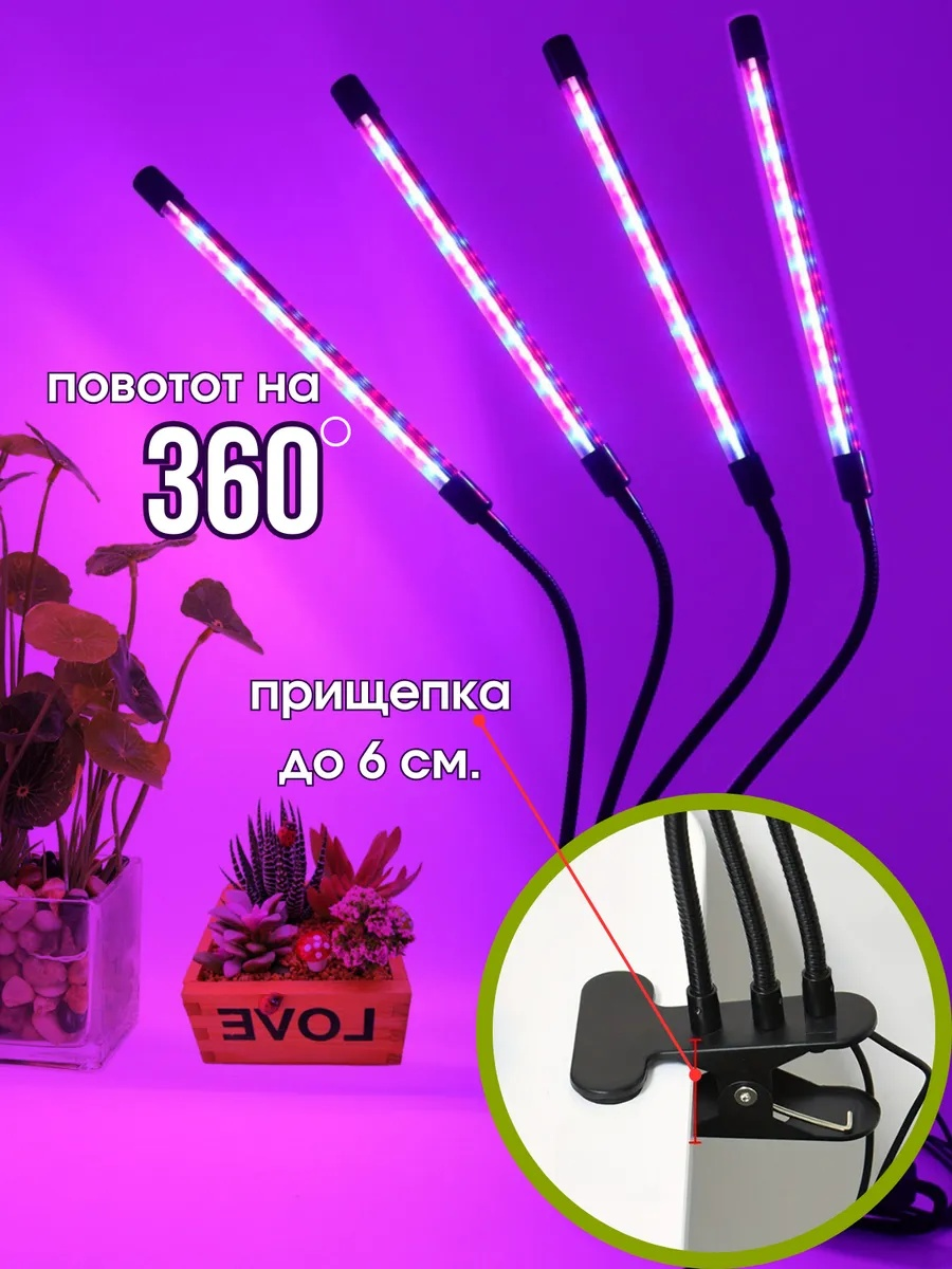 Фото-описание 1