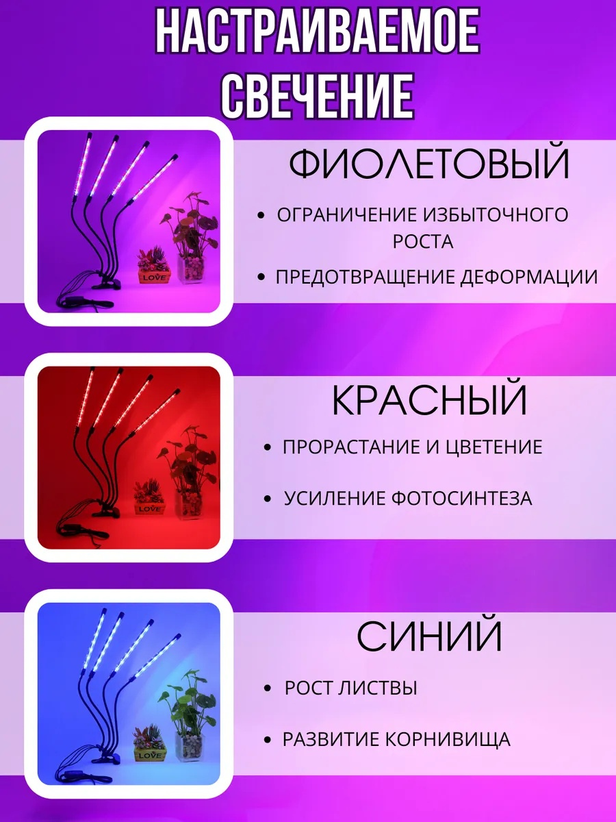 Фото-описание 2