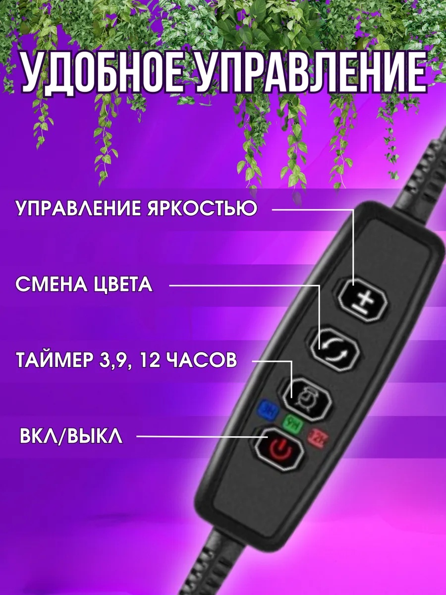 Фото-описание 3