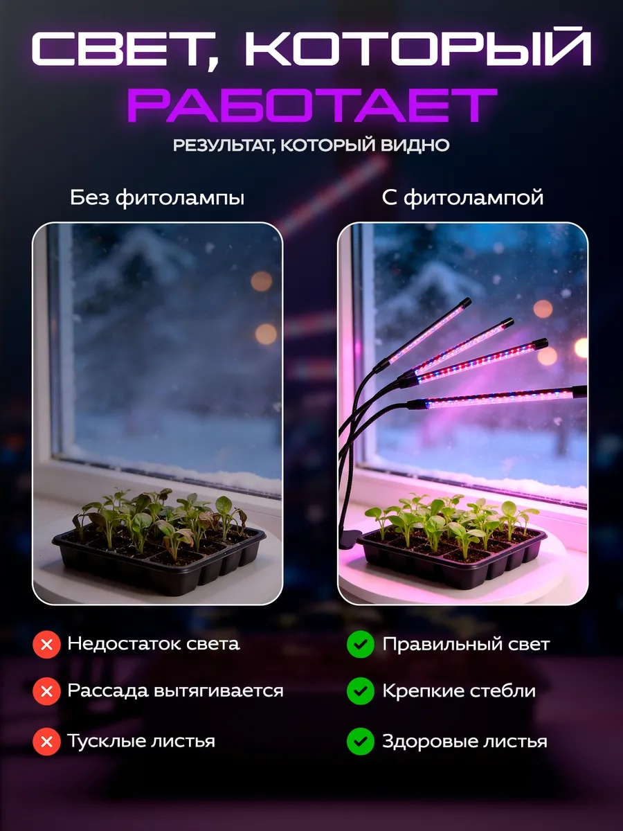 Фото-описание 4