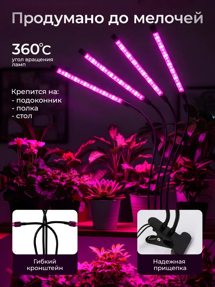 Главное фото товара